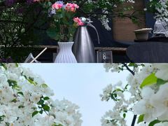 -国家植物园