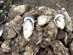 -鲜味食族水产·海鲜餐厅