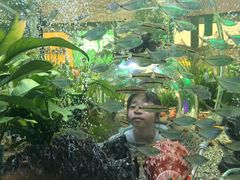 -船歌·鱼水饺青岛菜(恒隆广场店)