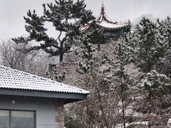 -崂山巨峰游览区