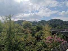 -梅峰山地公园