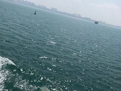 -海安新港(公交站)