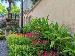 -龙环葡韵住宅式博物馆