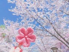 -那达慕蒙古风味酒楼