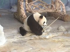 -海南热带野生动植物园