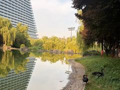 -西安曲江寒窑遗址公园