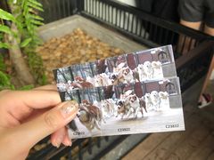 -TrueLove @ Neverland (Husky Cafe)