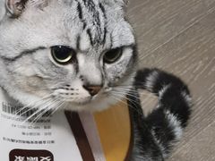 -萌兽医馆·宠物医院·猫骨科(创景店)