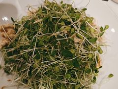 -正兴蜀园(科技园区店)