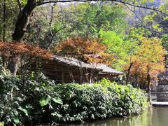 -桂林古东瀑布景区