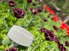 -国家植物园