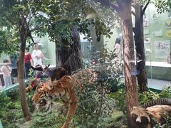 -国家自然博物馆