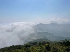 -阳台山自然风景区