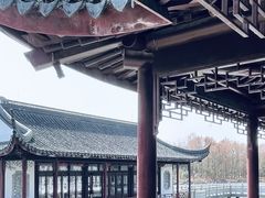 -上海海湾国家森林公园