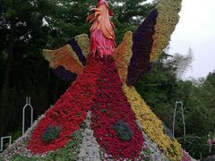 -深圳市中科院仙湖植物园
