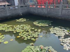 -卓刀泉寺