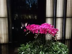 -上海璞麗酒店