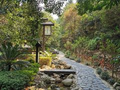 -明月山天沐温泉度假村