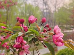 -元大都城垣遗址公园