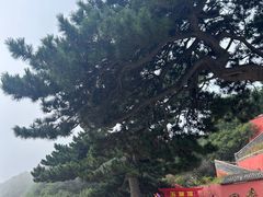 -妙峰山风景名胜区