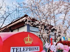 -高东镇樱花园