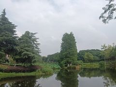 -金银湖国家城市湿地公园