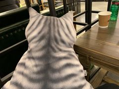 -之悦咖啡馆(新星宇·之洲店)