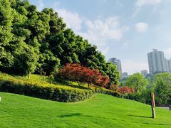-龙头寺公园