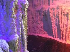 -水晶之星洗浴温泉汗蒸