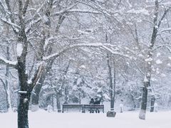 -高尔山公园