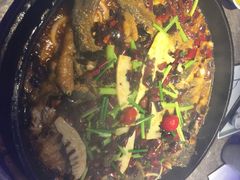 -老板恋上鱼(恒隆广场店)