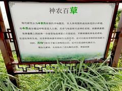 -阿林有机农庄