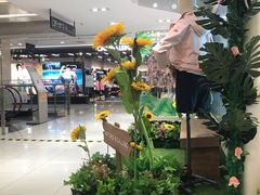 -Mr.Fruits水果先生(北京市百货大楼店)