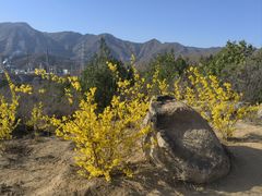 -白水寺森林公园