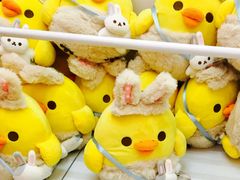 -LLJ夹机占(清河万象汇店)