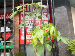 -老西门·常州菜·20年老品牌(新区店)