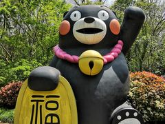 -上海海湾国家森林公园