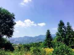 -塔川景区