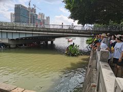-光明港公园