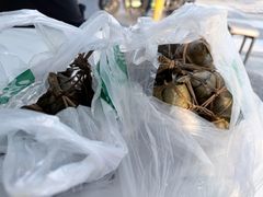 -嘉华小吃(蛇口市场店)