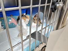 -达爱动物医院·犬猫分区·CT·复杂眼科(远洋山水分院)