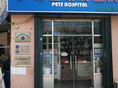 -小叮当动物医院·骨科·眼科