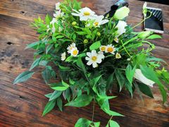 -悦哉·派对·草坪婚礼·围炉煮茶(三圣乡店)