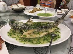-岭南海晏楼(东晓南店)