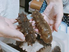 -大连阿艺海参