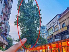 -王婆乔鲜鱼自助火锅(蜀汉路店)