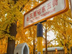 -三里屯东五街银杏大道
