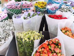 -溪岸路花鸟市场