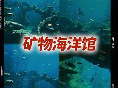 -长鹿旅游休博园