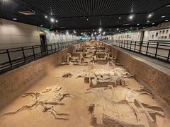 -洛阳周王城天子驾六博物馆